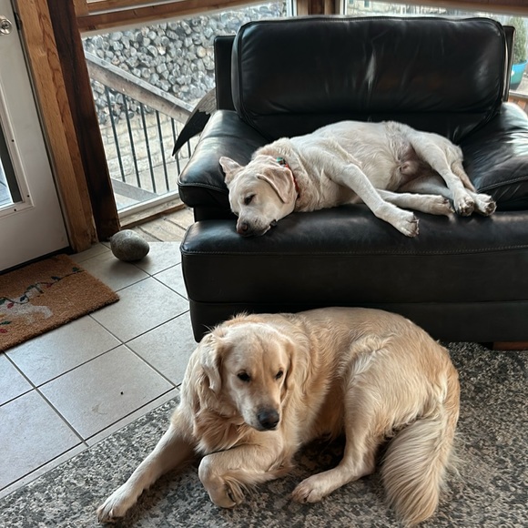 ‼️Same Day Shipper‼️ - Picture 2 of 7